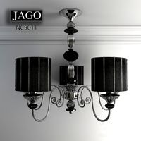 JAGO-NCS011