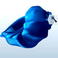 Kings Crown shell v1