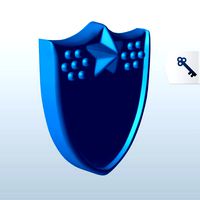 A Shield with a Raised Star v1