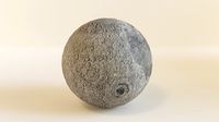 The Moon