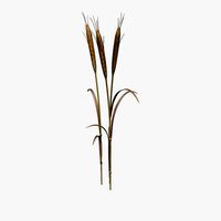 Wheat Field v1
