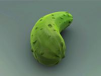 Pickle