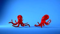Octupus