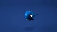 whale concept