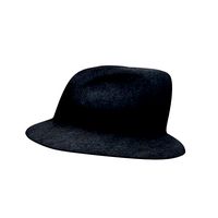 Fedora v01