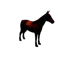 Horse v01