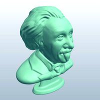 bust Einstein v1