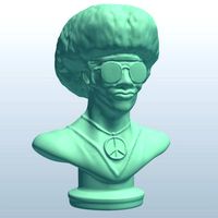 Novelty Bust Hippie v1
