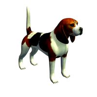 Beagle v1