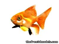 GoldFish