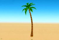 MY PALM