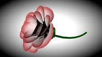Flower / Flor
