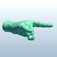 Hookem Horns Gesture v1