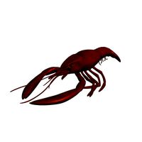 Crawfish v2