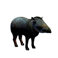 Tapir v1