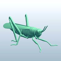 Locust v1