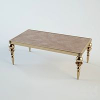 Visionnaire / Cycas low table