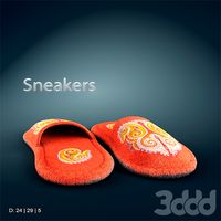 Sneakers