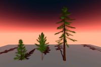 Low Poly Pine Trees Pack With High Quality Animations
