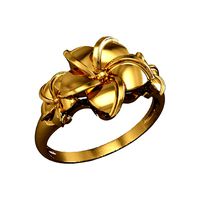Ring 841 | 3D