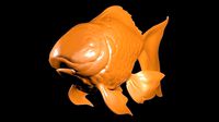 golden fish