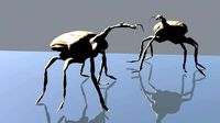 Trachelophorus giraffa | 3D