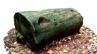 3D sawn of tree part model