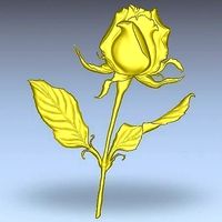 STL rose