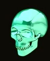 skull