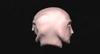 two head