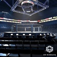 UFC Arena