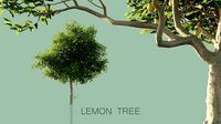 Lemon Trees Pack