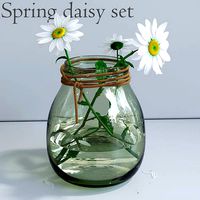 Spring daisy set