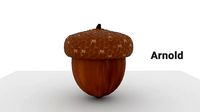 3D Acorn Model
