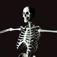 Medical Skelegon