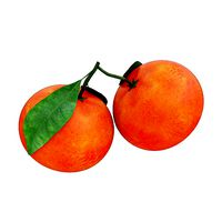 Tangerines with leaves