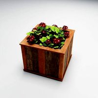 Low-Poly Wood Flower Planter with Geraniums 3D Model