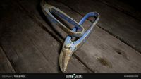 Pruner - Photogrammetry Asset 3D PhotoScan