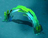 Seaside Cartoon World - Seaweed Arches