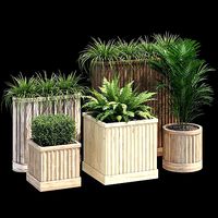 Bamboo planter