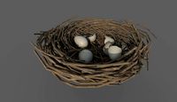 Bird Nest low Poly