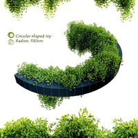 Circular shaped ivy