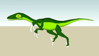 Raptor