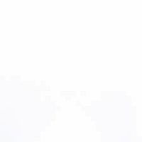 Animal Pals -Monkey Truck