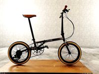folding bike