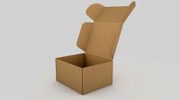 Adjustable and Rigged Box Package