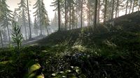 Hazy Hills - Conifer Forest Environment