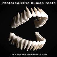 Photorealistic human teeth