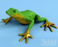 FROG