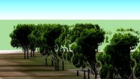 Trees along the Tri State Tollway from Sanders to Willow Road